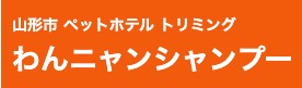 わんニャンシャンプー