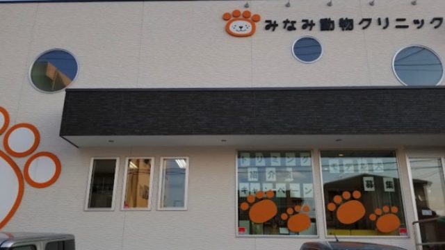 みなみ動物クリニック