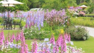 やまぐちフラワーランド