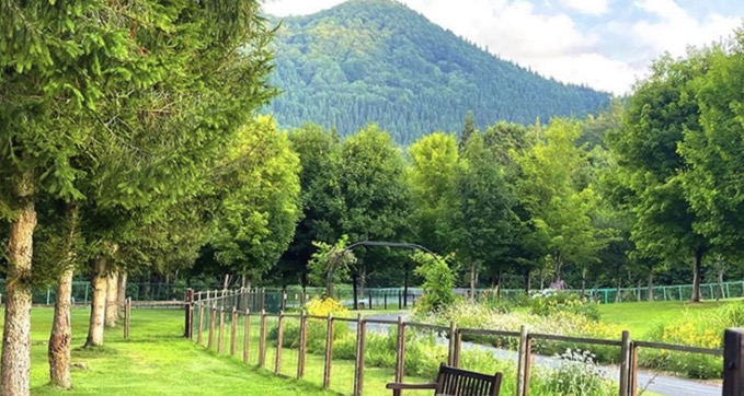 山に恋するキャンプ場