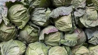 温土野菜 つちもん