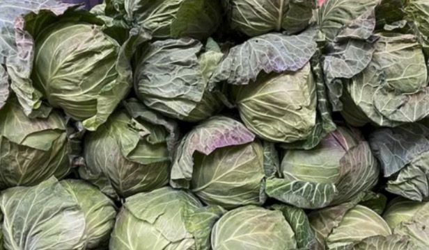 温土野菜 つちもん