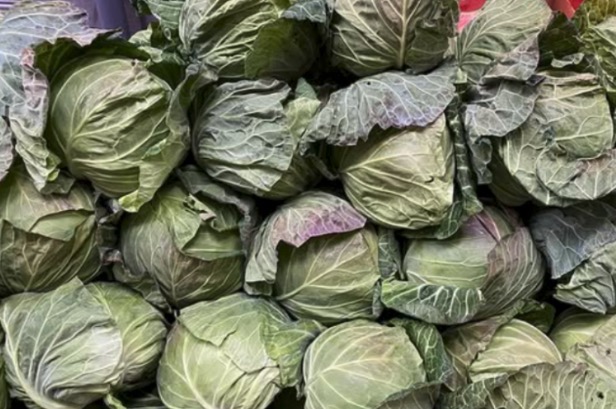 温土野菜 つちもん