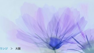 ビードルフィン