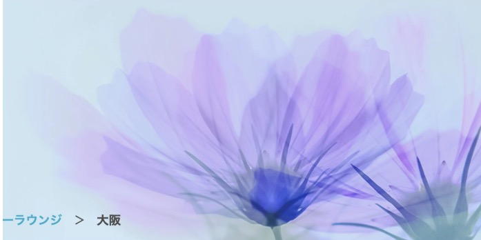 ビードルフィン