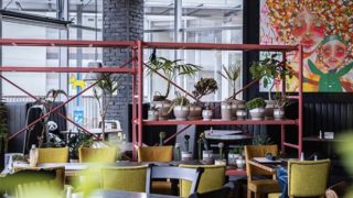 食堂カフェpotto×タニタカフェ もりのみやキューズモールBASE店