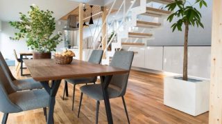 株式会社クジラテラス