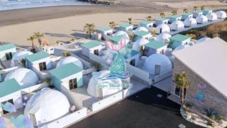 シュガービーチ オオアライ